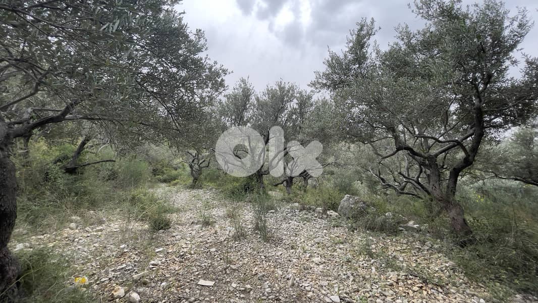 RWB243CA - Land for sale in Barbara Jbeil 0