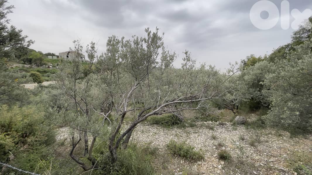 RWB243CA - Land for sale in Barbara Jbeil 2