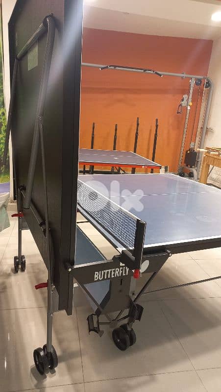 butterfly table tennis (made in Germany) 1