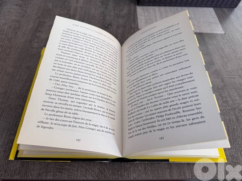 Harry Potter et la Chambre des Secrets 4