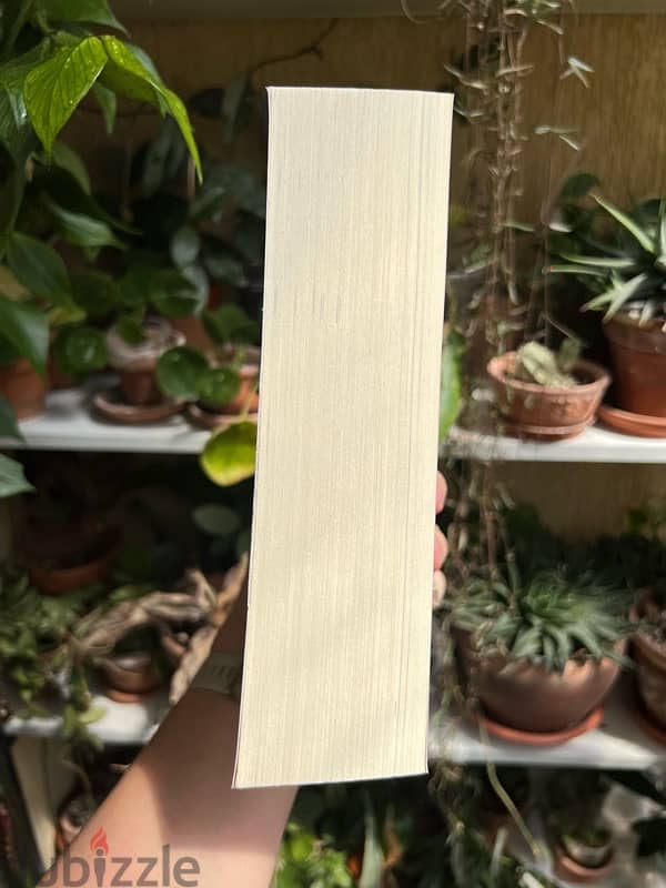 Goldfinch paperback book 2