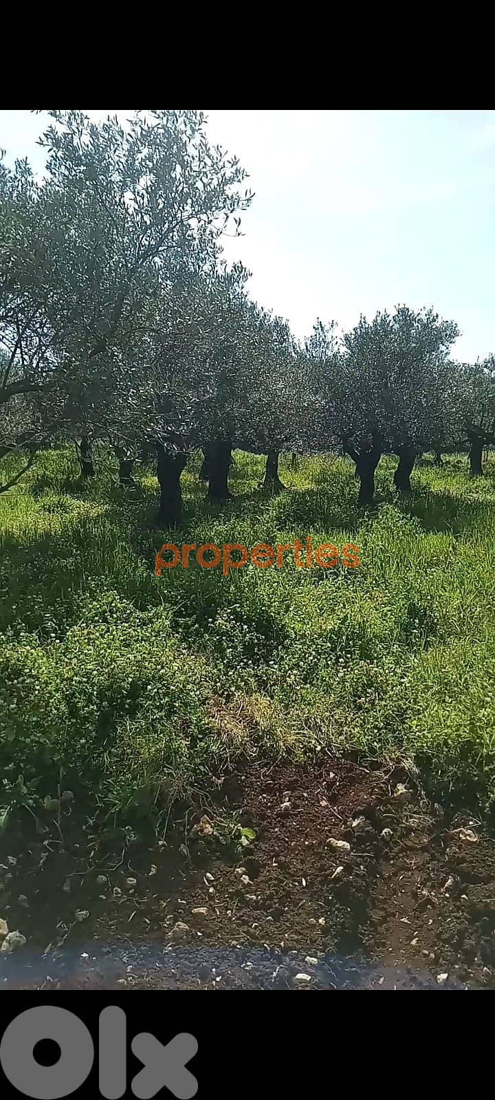 Land for sale in Batroun CPJRK259 1