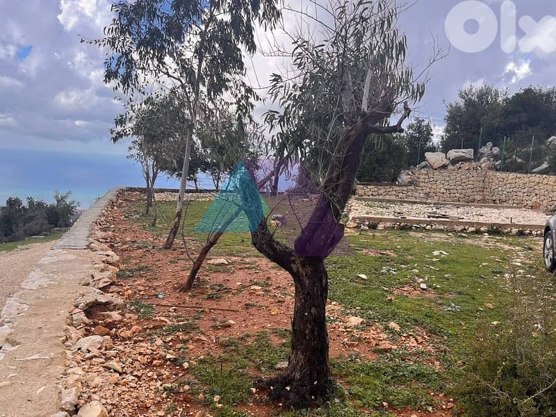 1407m2 Land+Open Mountain/Sea view for Sale in Ras Osta - رأس أسطا 0