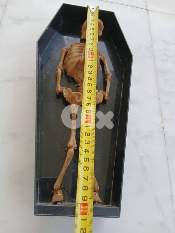 تحفة تابوت 1