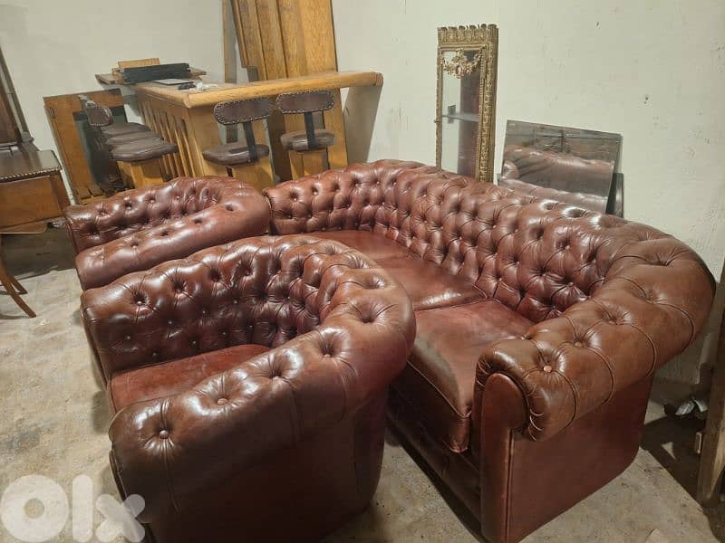 chesterfield salon genuine leather buffalo original 2