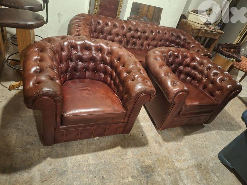 chesterfield salon genuine leather buffalo original 3