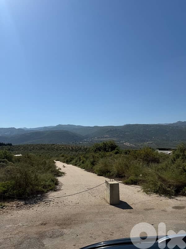 land for sale Amioun Darebashtar 0