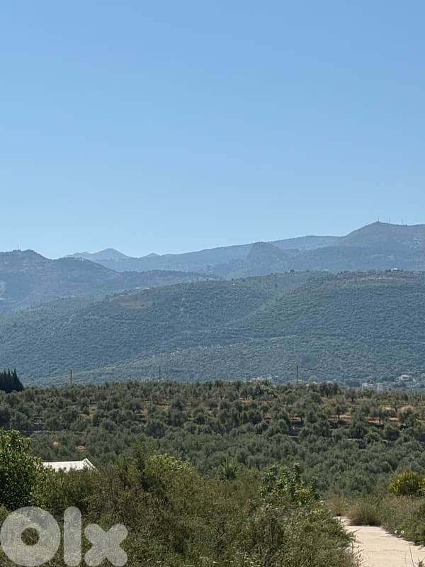 land for sale Amioun Darebashtar 2