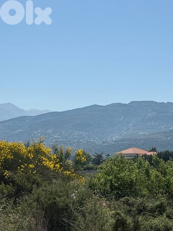 land for sale Amioun Darebashtar 3