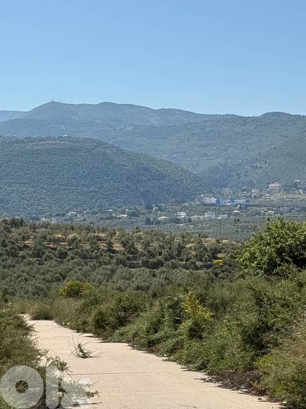 land for sale Amioun Darebashtar 4