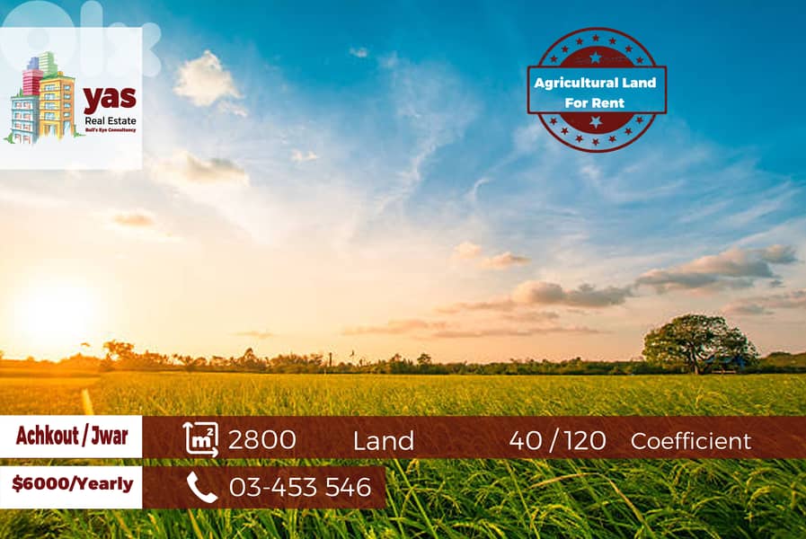 Achkout / Jwar 2800m2 | Flat Land | 40 / 120 Coefficient | Rent | WA | 0