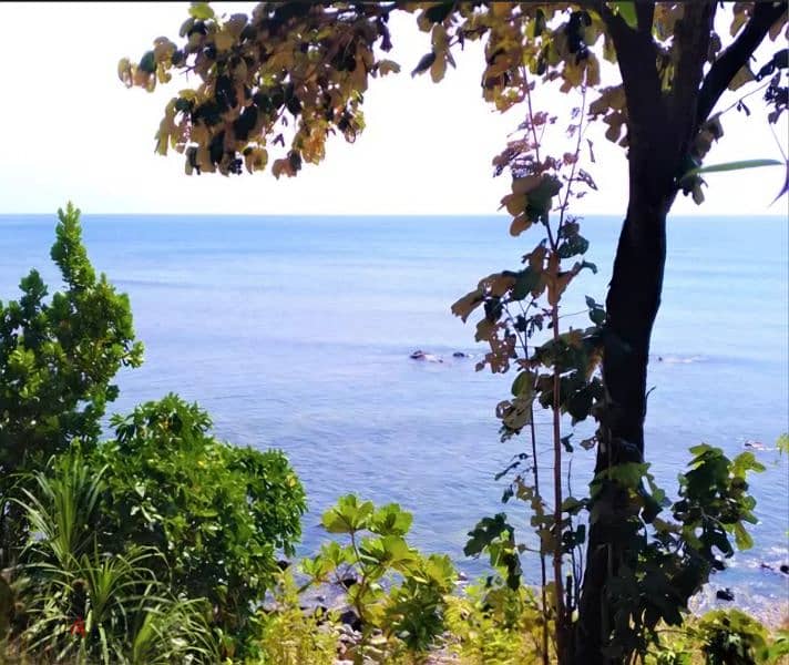 For sale Land in Ain Saade 0