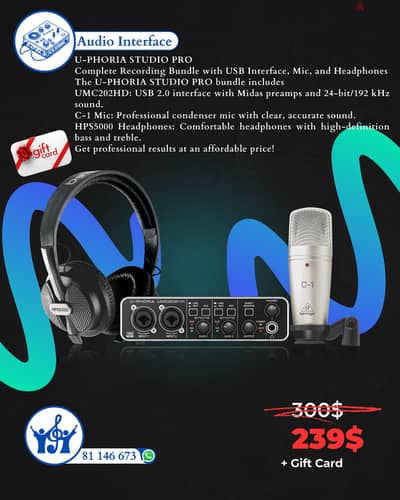 Audio Interface