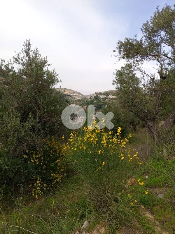 أرض للبيع في اغميد الشوفland for sale in shouf ighmeed 2