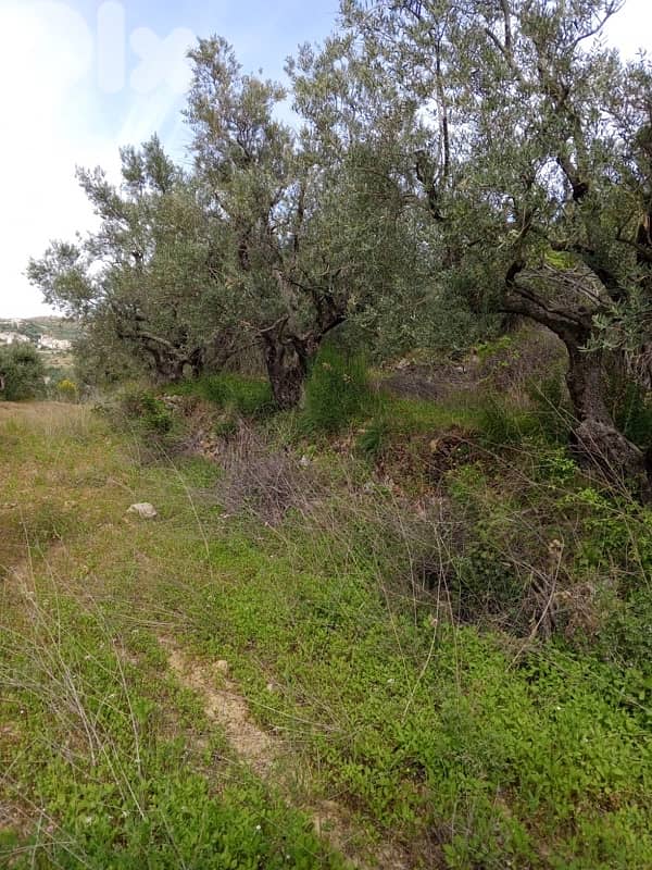 أرض للبيع في اغميد الشوفland for sale in shouf ighmeed 3