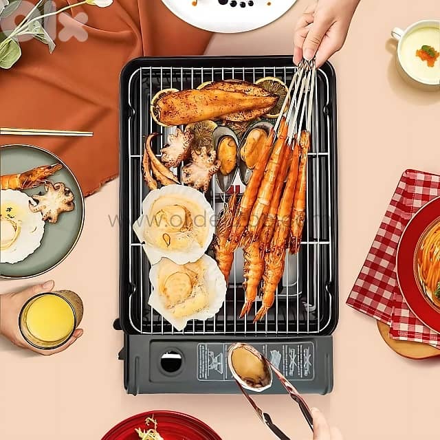 Portable Camping Grill Stove – Dual Flame, Carry Case & Drip Tray 2