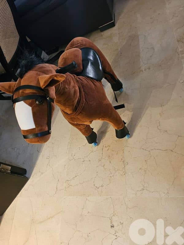 horse 0