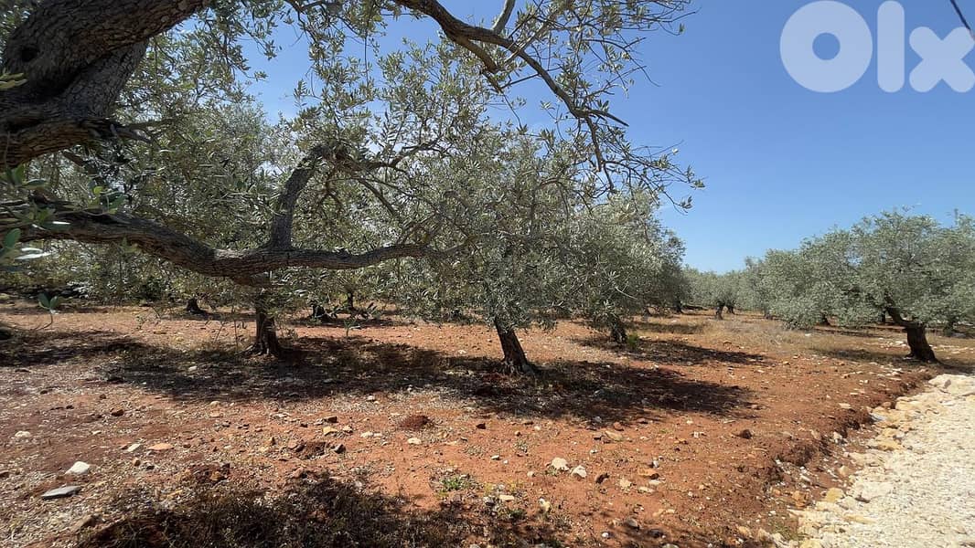 RWB154SN - Land for sale in Bsarma Koura 1