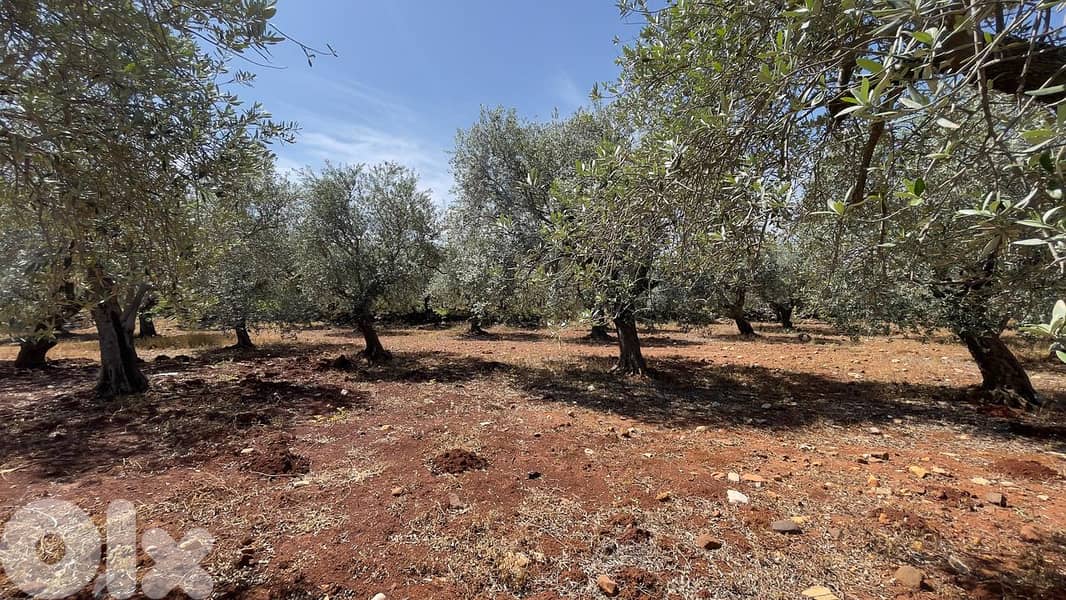 RWB154SN - Land for sale in Bsarma Koura 2