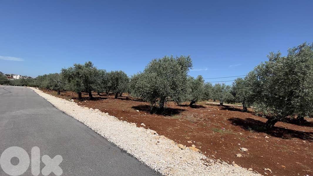 RWB154SN - Land for sale in Bsarma Koura 5