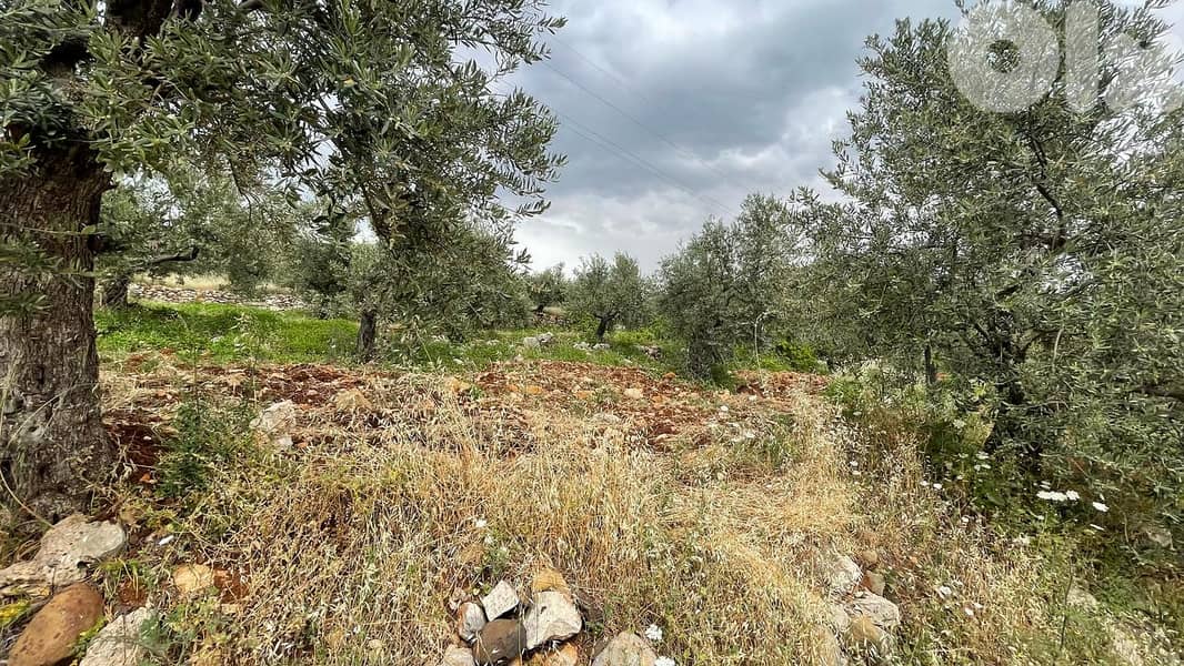 RWB155SN - Land for sale in Kousba - Koura 0