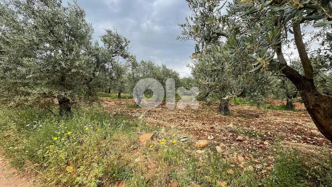 RWB155SN - Land for sale in Kousba - Koura 1