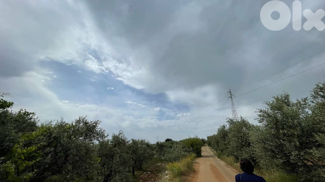RWB155SN - Land for sale in Kousba - Koura 2