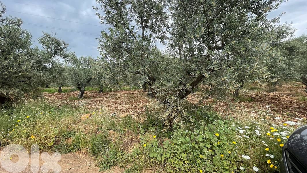 RWB155SN - Land for sale in Kousba - Koura 3