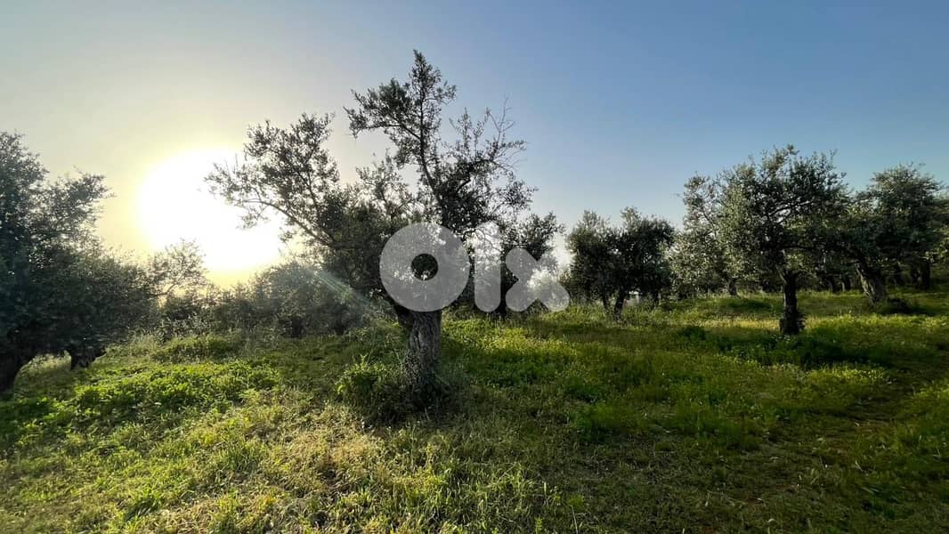 RWB157SN - Land for sale in Kousba el Koura 1