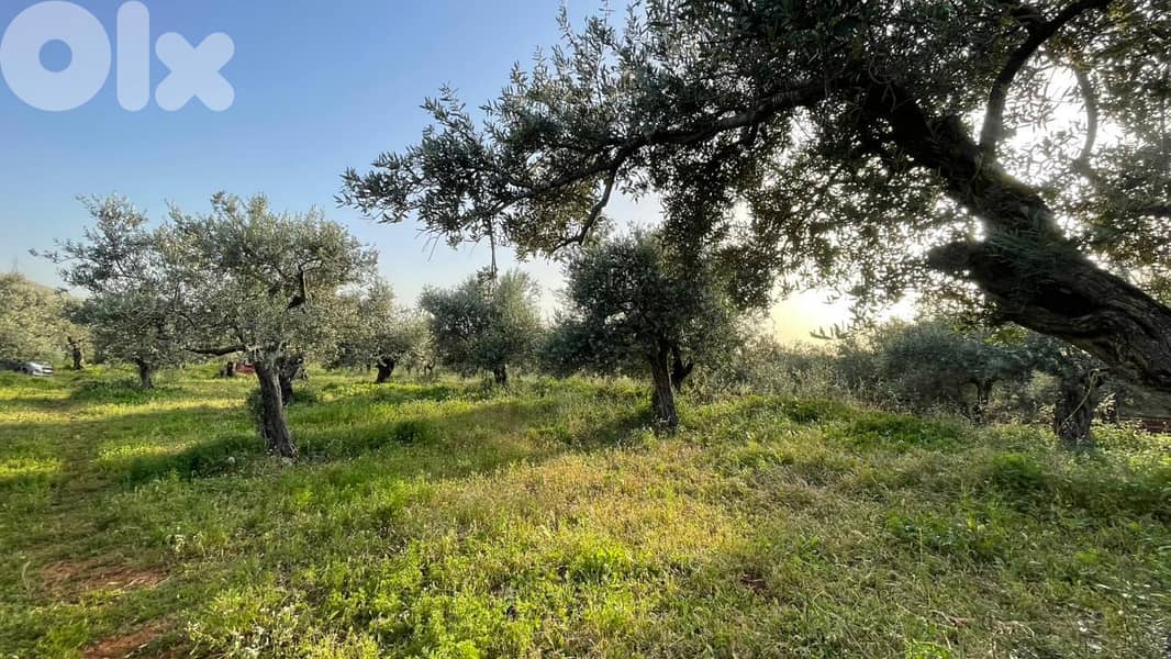 RWB157SN - Land for sale in Kousba el Koura 2