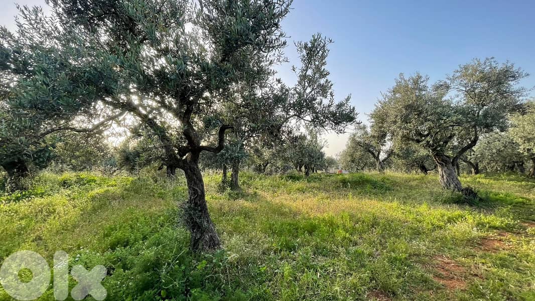 RWB157SN - Land for sale in Kousba el Koura 3