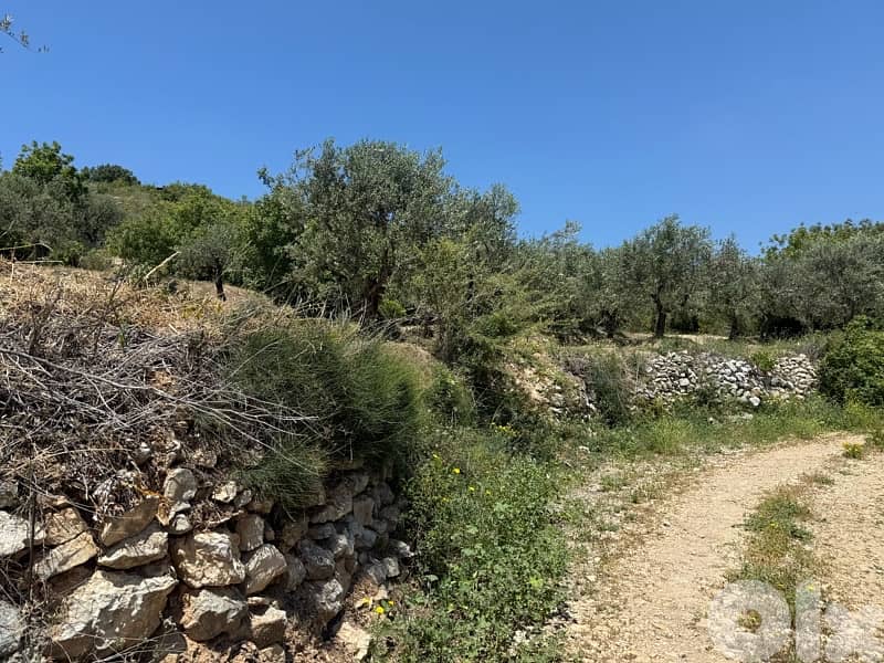 land for sale in Amioun 1