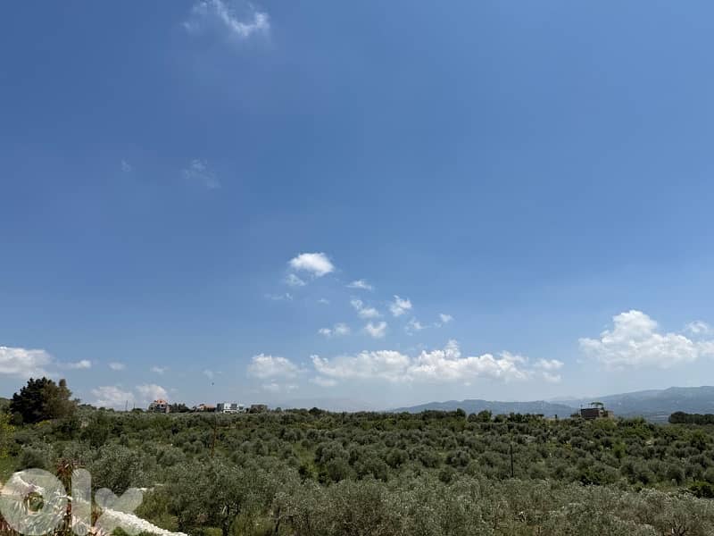 land for sale in Amioun 4