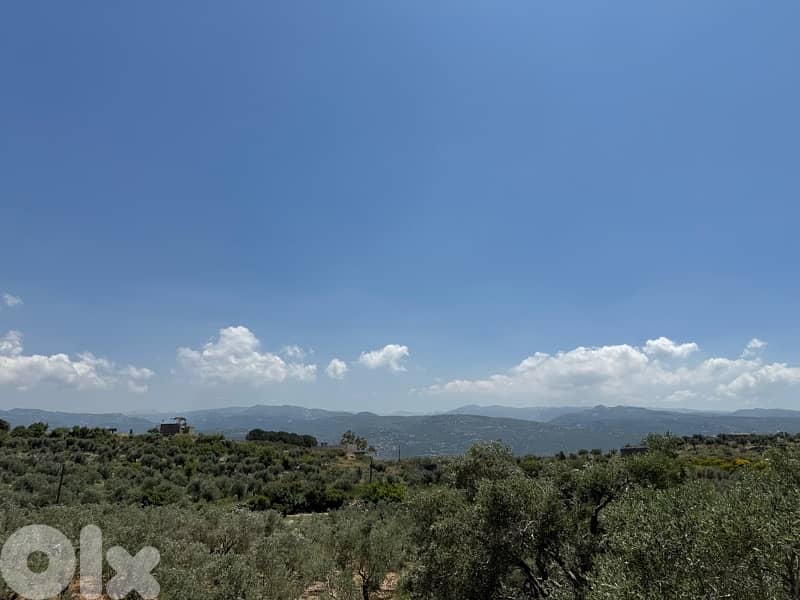 land for sale in Amioun 5