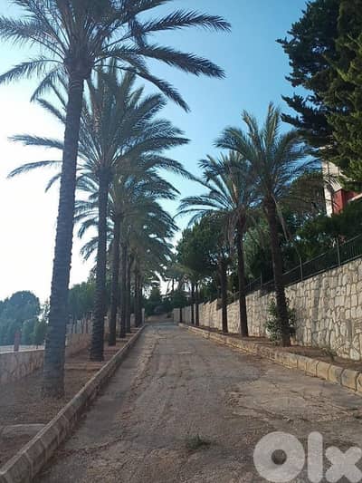 ارض للبيع قعقعية الجسر   متر 7000