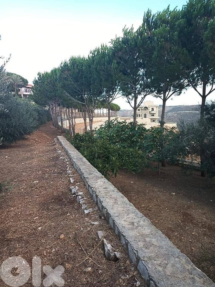 ارض للبيع قعقعية الجسر   متر 7000 3
