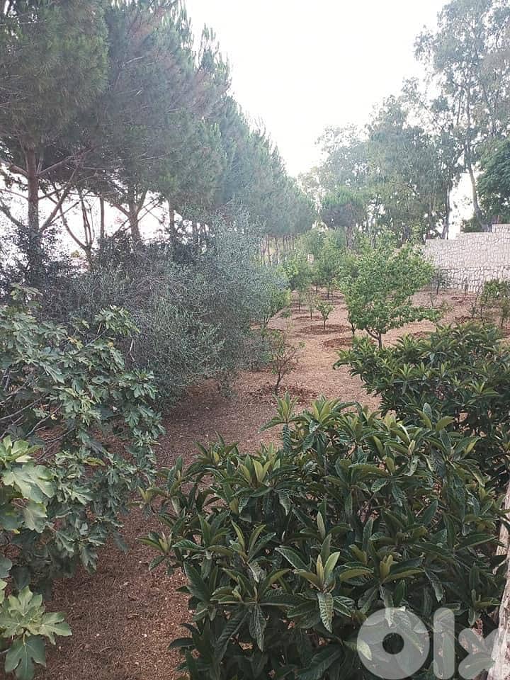 ارض للبيع قعقعية الجسر   متر 7000 8