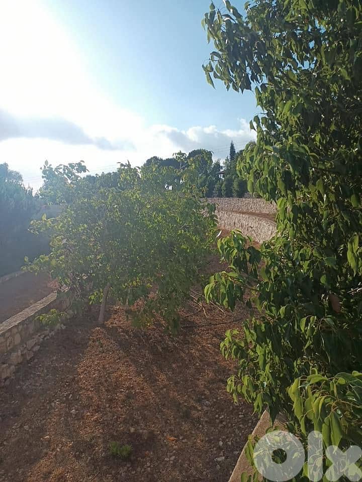 ارض للبيع قعقعية الجسر   متر 7000 9