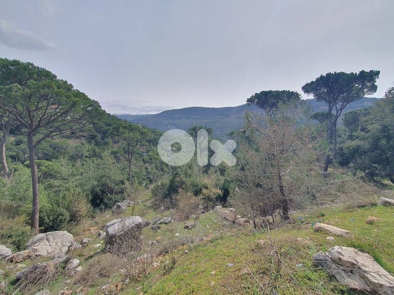 Land for sale in baabdat 0