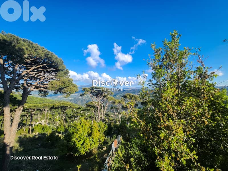 Looking for a villa with massive land? | Villa for sale in Baabdat 0