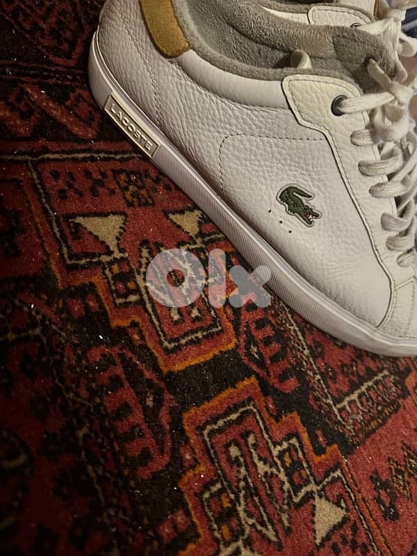 Lacoste Shoes 1