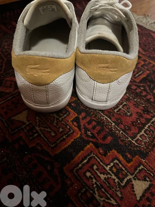 Lacoste Shoes 2