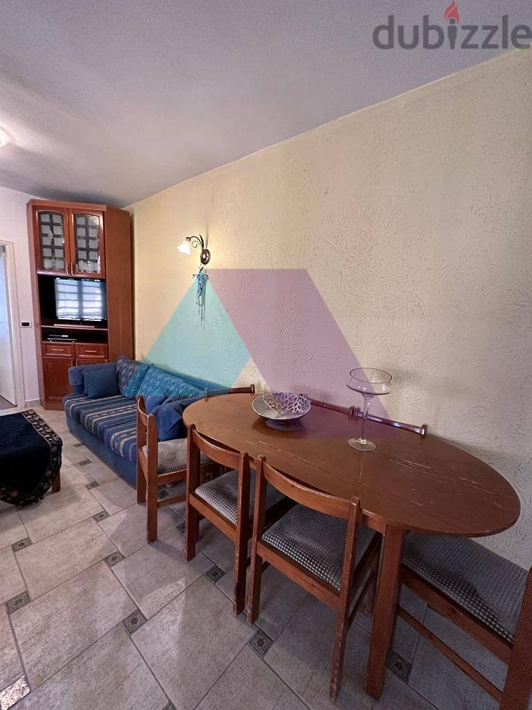Decorated Furnished Chalet + mountain view 4sale in Feytroun 4