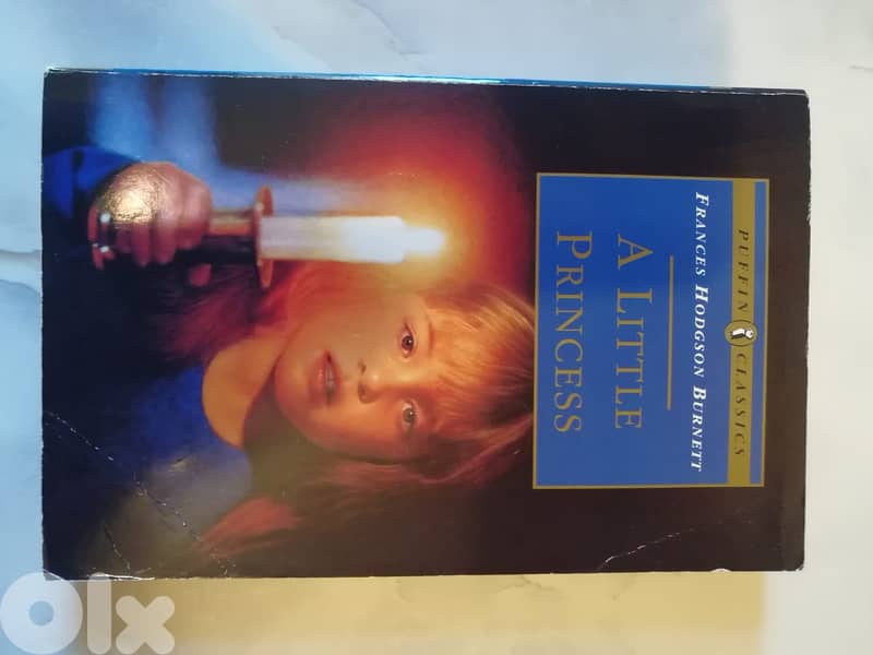 A little princess by Frances Brunett 0