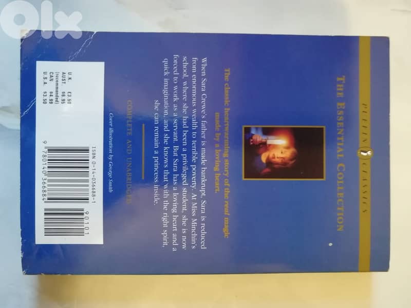 A little princess by Frances Brunett 1