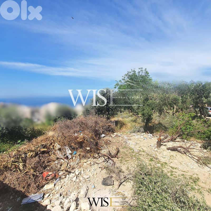 705 SQM Land for SALE in Blat - Jbeil ! 1