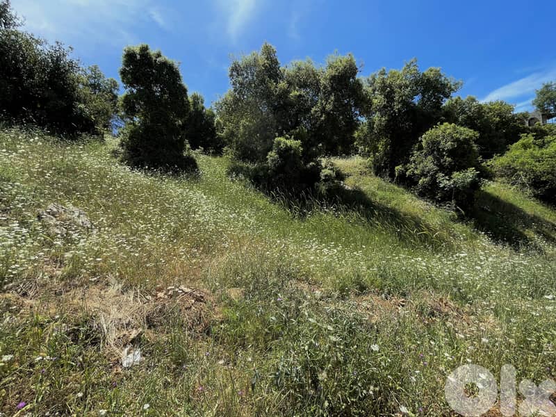 RWK446CA - Land for Sale in Ghineh - أرض للبيع في الغينة 0