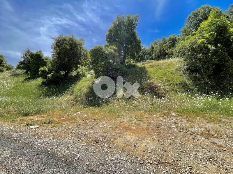 RWK446CA - Land for Sale in Ghineh - أرض للبيع في الغينة 1