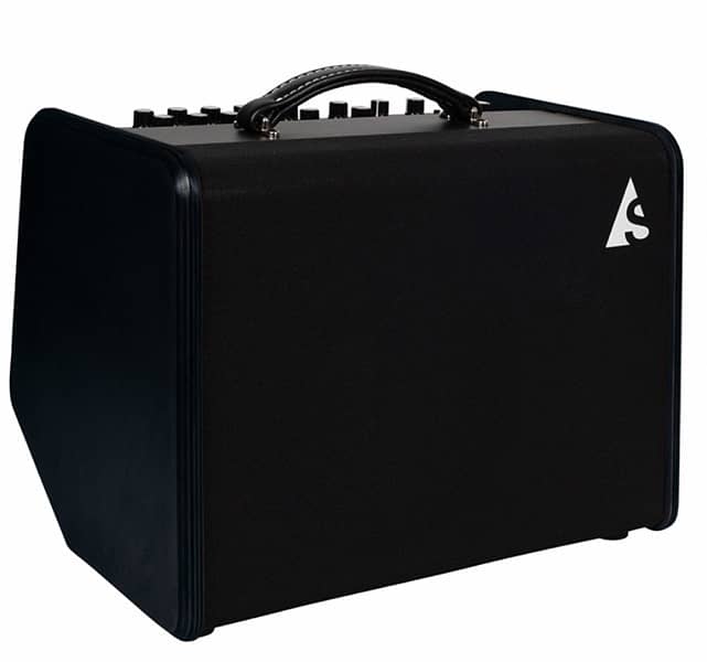 Godin acoustic guitar and vocals amplifier 7