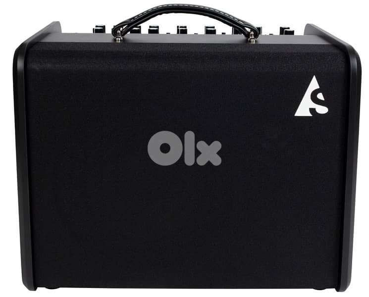 Godin acoustic guitar and vocals amplifier 10